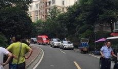 成都港的最新爆料,揭秘港口发展新动向与未来蓝图