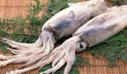 鱿鱼最新爆料视频,揭秘幕后真相，最新爆料视频曝光惊人内幕