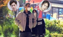 张佳宁恋情爆料最新消息,神秘男友身份揭晓，甜蜜细节引热议