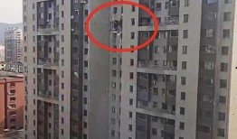 丹东凤城爆料事件视频最新,真相与争议交织的舆论漩涡